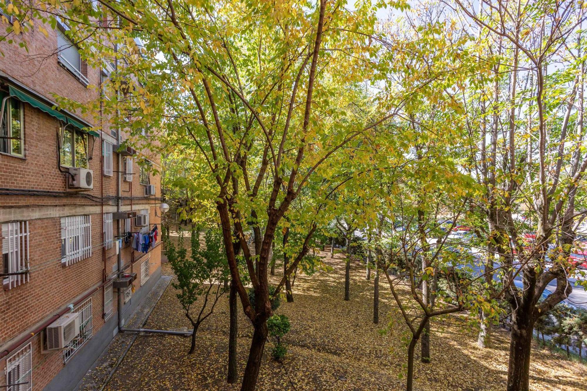 Apartamento 3 Habs Madrid Az10 Ngoại thất bức ảnh